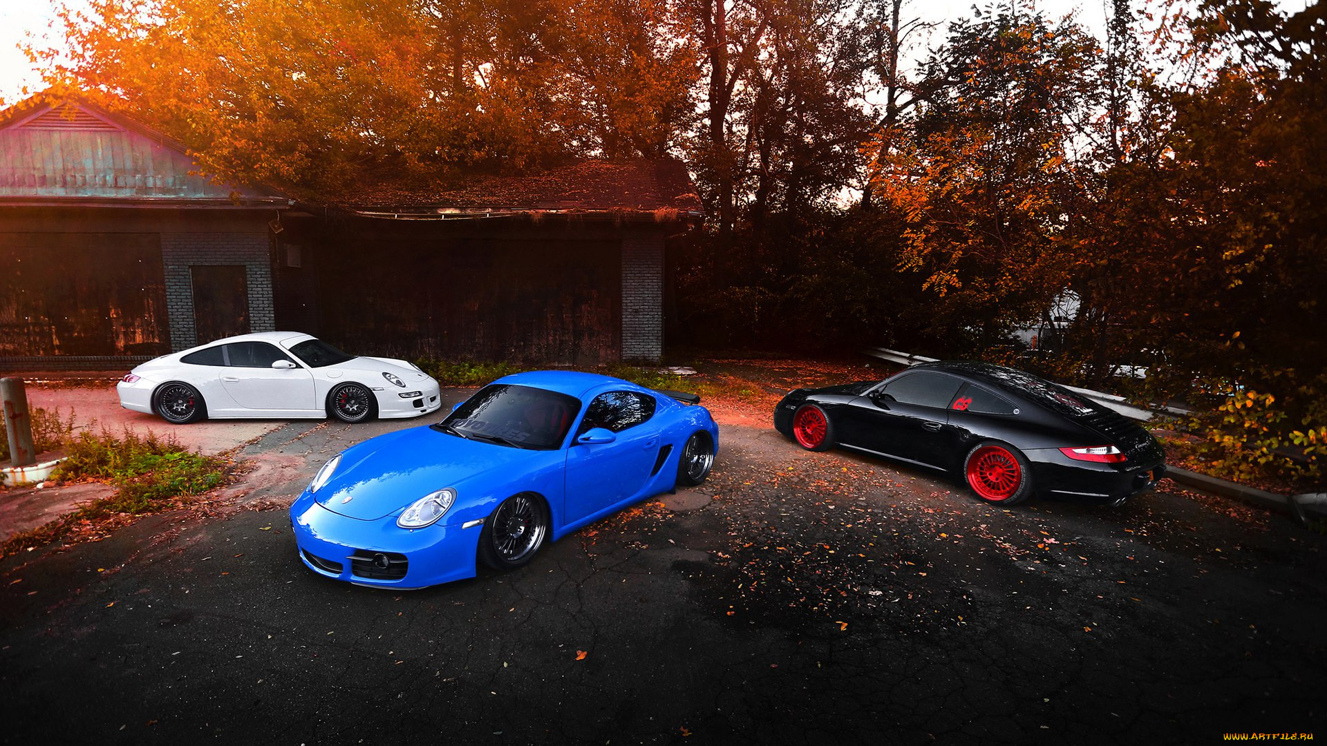 , porsche